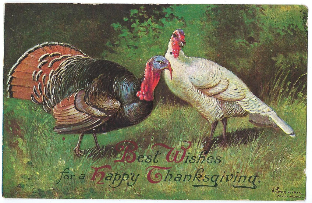 Thanksgiving Postcard Two Turkey's in Grass Artist Signed Intl Art Pub Back is Promo for PA Bank