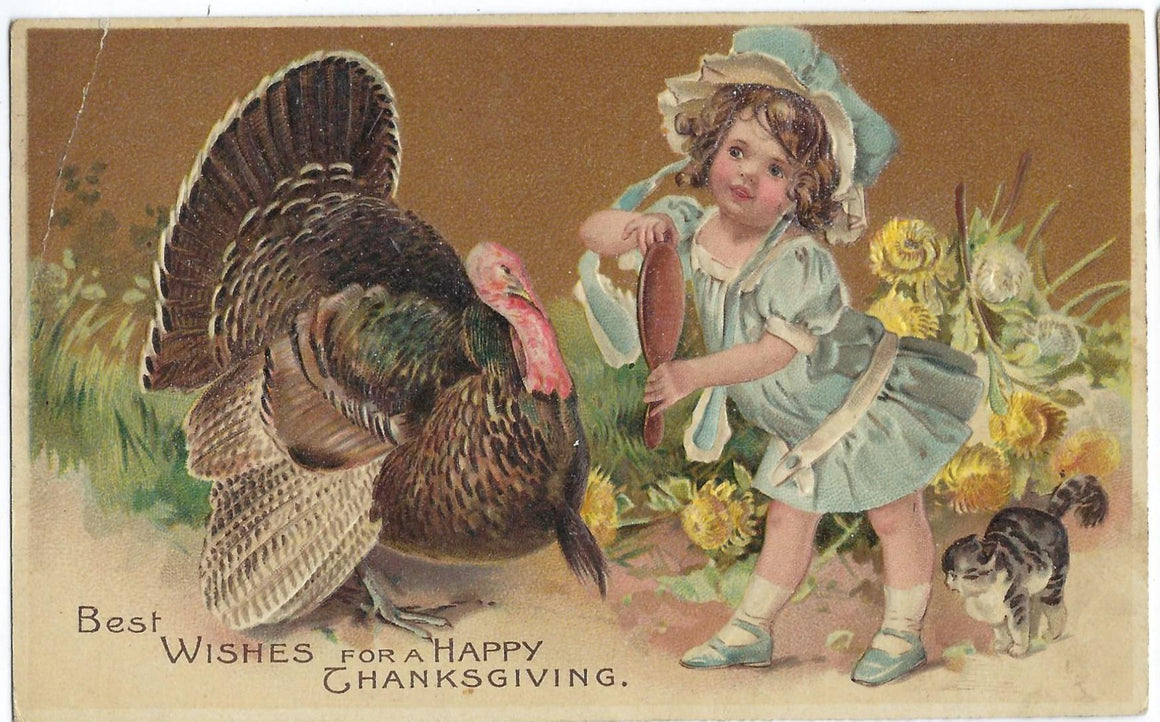 Thanksgiving Postcard Turkey w/ Young Girl Holding a Mirror & Kitten at Her Feet Embossed Card