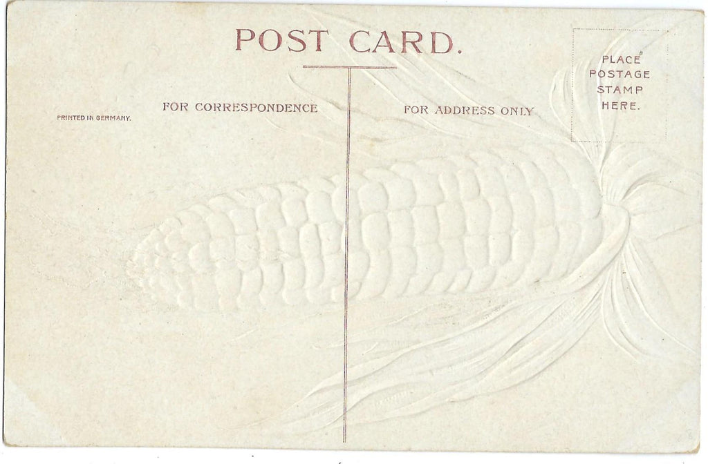Thanksgiving Postcard Corn Cob Artist Ellen Clapsaddle Intl Art Publishing Embossed Card