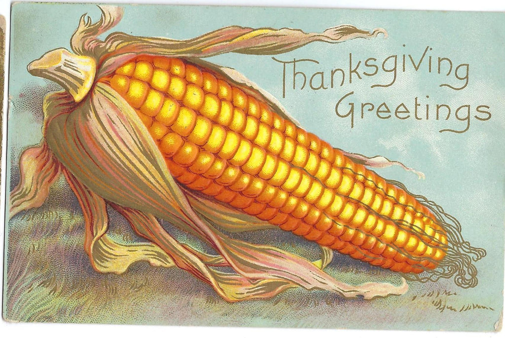 Thanksgiving Postcard Corn Cob Blue Background Embossed Card