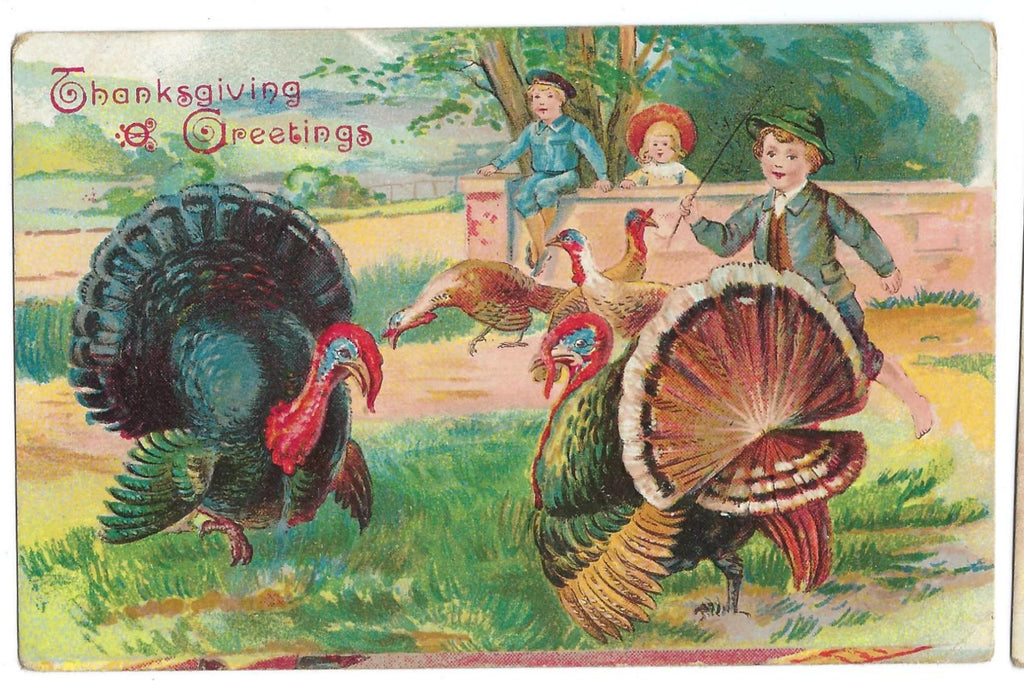 Thanksgiving Postcard Embossed Card Children Playing with Turkeys in Yard No 669