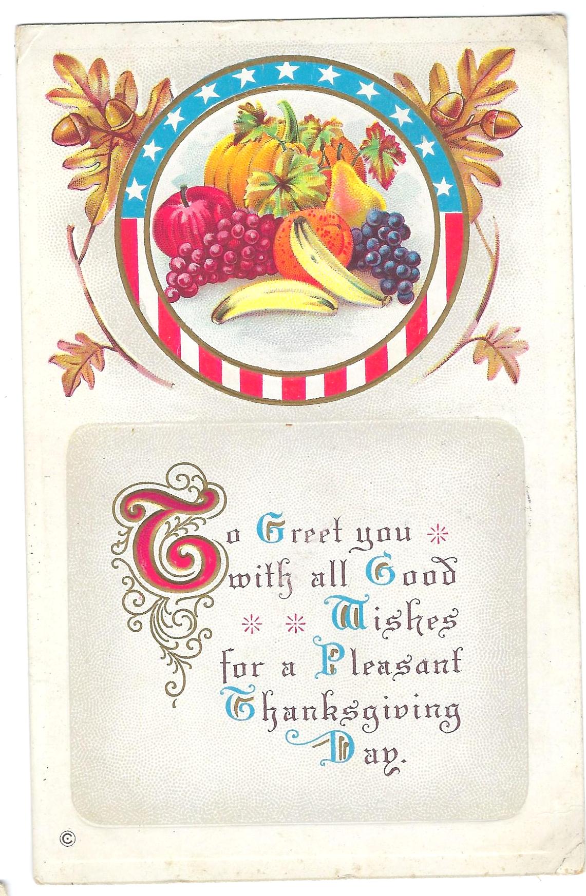 Thanksgiving Postcard Embossed Card Turkey with Fruit in American Flag Shield and Poem Series 253 D